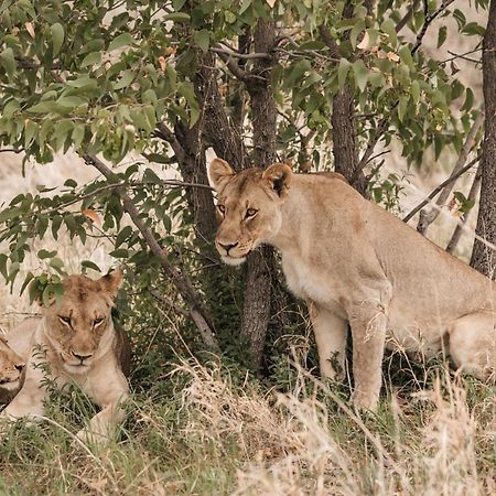 Etosha Safari Campsite 外观 照片