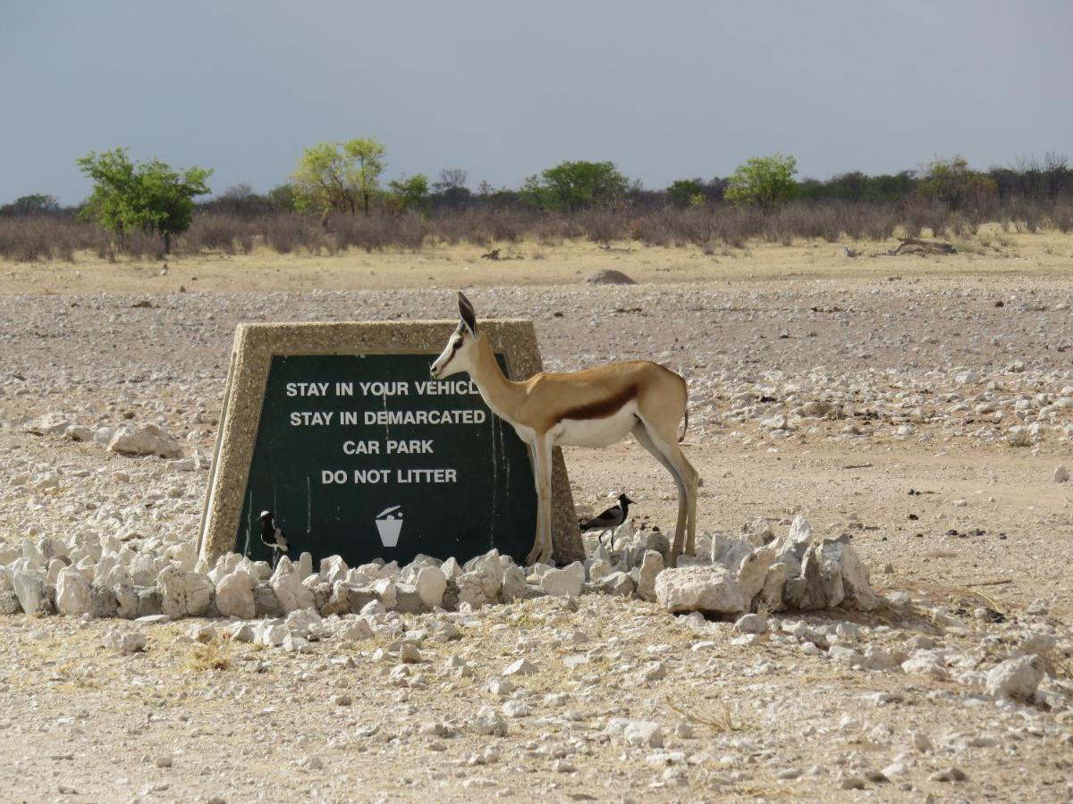 Etosha Safari Campsite 外观 照片